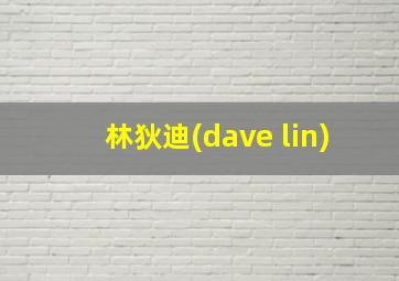 林狄迪(dave lin)